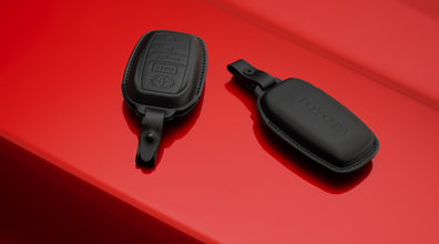 Protector para la llave