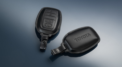 Protector para la llave