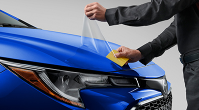 Película de protección para la pintura: Paragolpes delantero