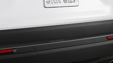 Rear Bumper Applique