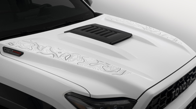 Diseños topográficos: Transparentes