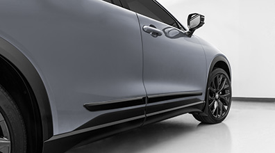 Body Side Moldings: Black