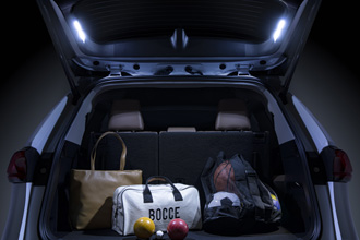 Rear Hatch Cargo Lamps