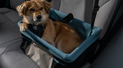 Kurgo Heather Dog Booster Seat 