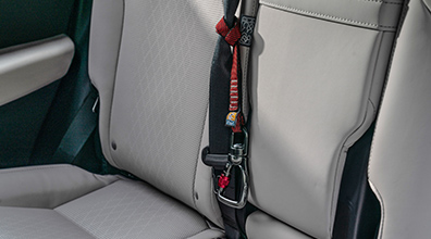 Kurgo Direct to Seatbelt Tether 