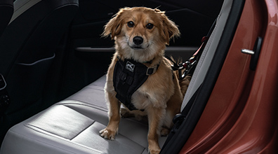 Kurgo Tru-Fit Dog Car Harness: Multiple Sizes Available 