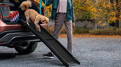 PetSafe® Happy Ride Folding Dog Ramp 